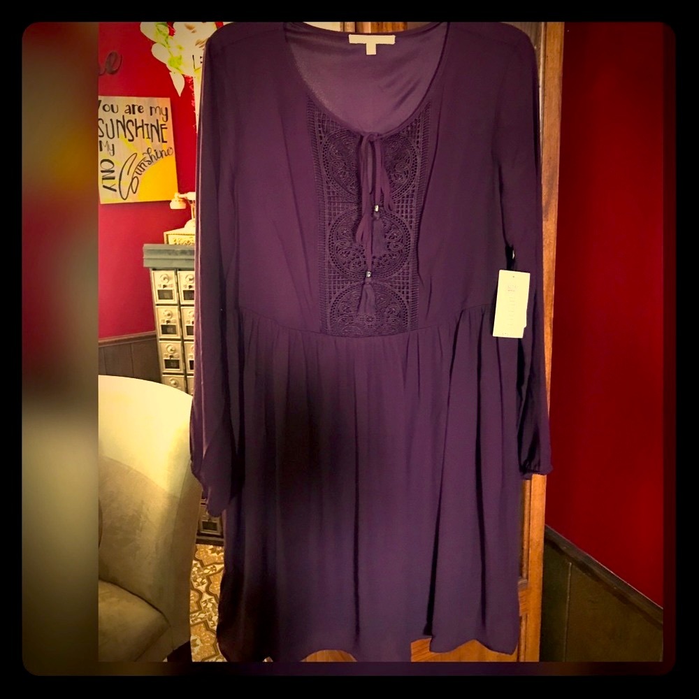 NWT Dress/Tunic from Dillards